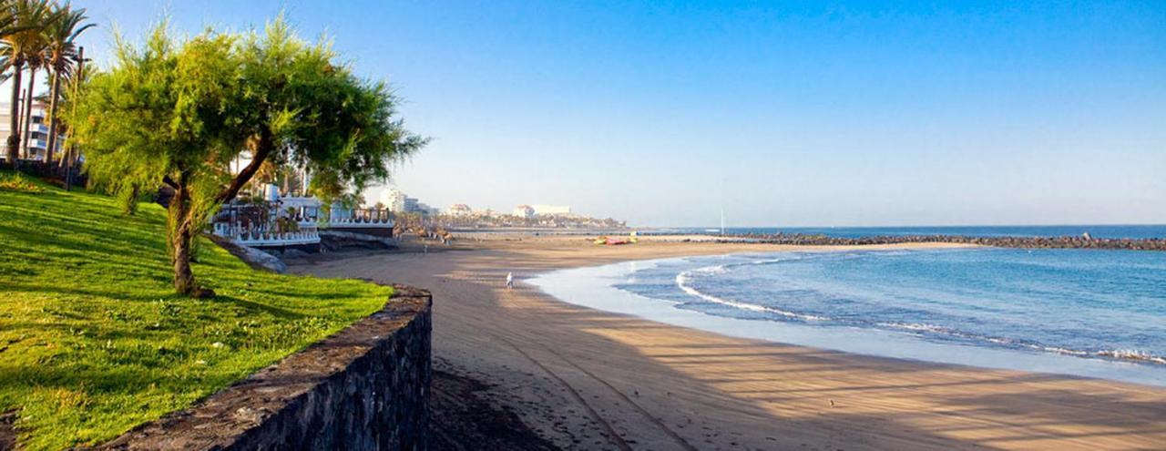 Nice Apartment On Las Americas Beach プラヤ・デ・ラス・アメリカス エクステリア 写真